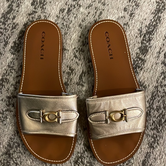 Gold Coach slides - Picture 2 of 4